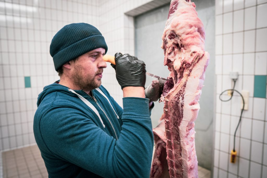 Christian Bachler schlachtet ein Schwein